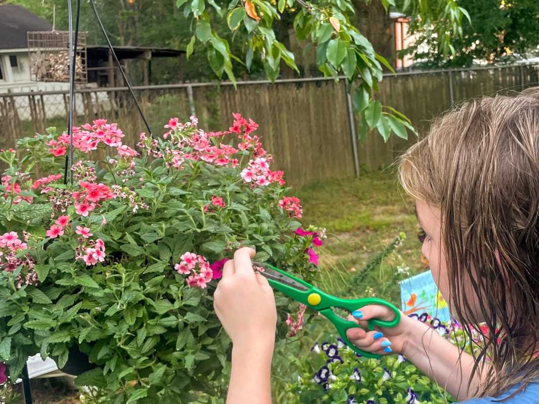 At-Home Nature Scavenger Hunt for Family Fun